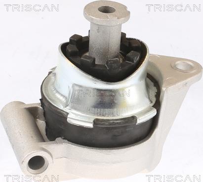 Triscan 8505 24117 - Подушка, опора, подвеска двигателя autosila-amz.com