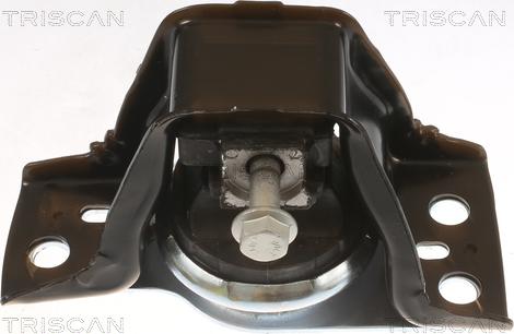 Triscan 8505 25113 - Подушка, опора, подвеска двигателя autosila-amz.com