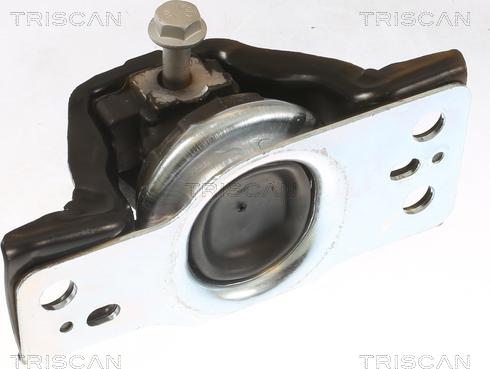 Triscan 8505 25113 - Подушка, опора, подвеска двигателя autosila-amz.com