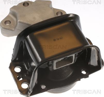Triscan 8505 28100 - Подушка, опора, подвеска двигателя autosila-amz.com