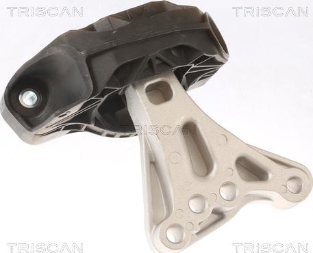 Triscan 8505 28115 - Подушка, опора, подвеска двигателя autosila-amz.com