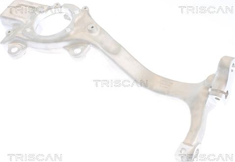 Triscan 8500 29705 - Поворотный кулак, подвеска колеса autosila-amz.com