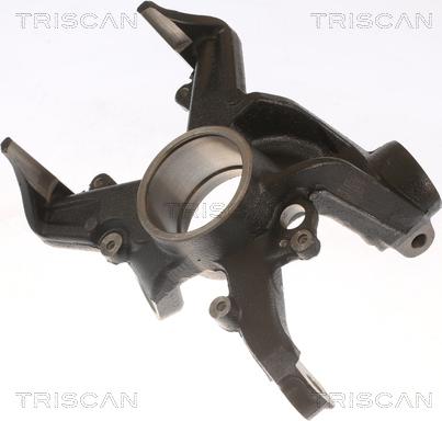 Triscan 8500 29703 - Поворотный кулак, подвеска колеса autosila-amz.com