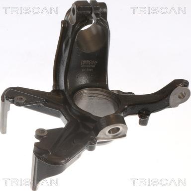 Triscan 8500 29702 - Поворотный кулак, подвеска колеса autosila-amz.com