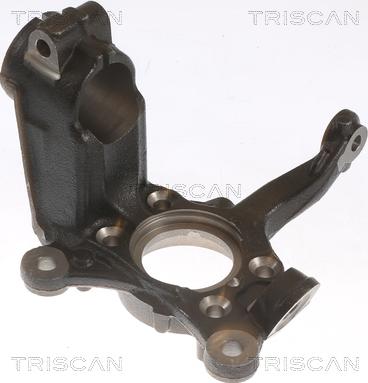 Triscan 8500 29712 - Поворотный кулак, подвеска колеса autosila-amz.com