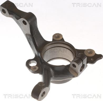 Triscan 8500 29717 - Поворотный кулак, подвеска колеса autosila-amz.com