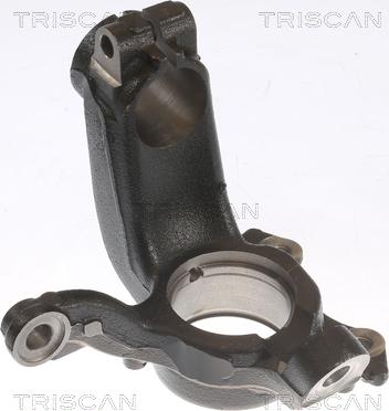 Triscan 8500 29721 - Поворотный кулак, подвеска колеса autosila-amz.com