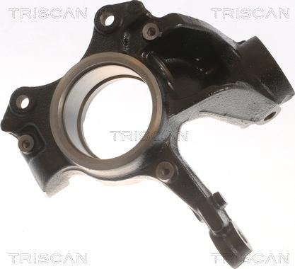 Triscan 8500 29721 - Поворотный кулак autosila-amz.com