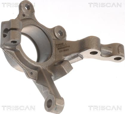 Triscan 8500 25702 - Поворотный кулак, подвеска колеса autosila-amz.com