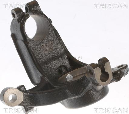 Triscan 8500 28703 - Поворотный кулак, подвеска колеса autosila-amz.com