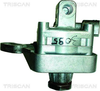 Triscan 8515 15604 - Гидравлический насос, рулевое управление, ГУР autosila-amz.com