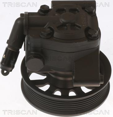 Triscan 8515 16678 - Гидравлический насос, рулевое управление, ГУР autosila-amz.com
