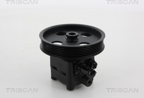 Triscan 8515 10613 - Гидравлический насос, рулевое управление, ГУР autosila-amz.com