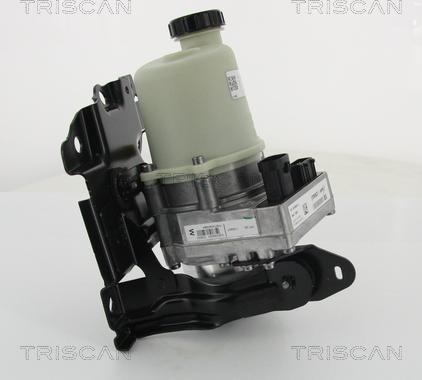 Triscan 8515 25645 - Гидравлический насос, рулевое управление, ГУР autosila-amz.com