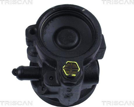 Triscan 8515 25604 - Гидравлический насос, рулевое управление, ГУР autosila-amz.com