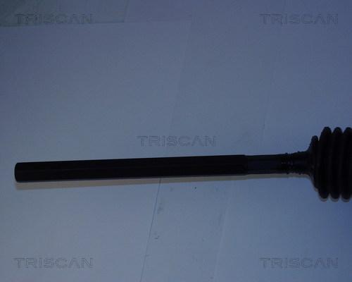 Triscan 8510 38401 - Рулевой механизм, рейка autosila-amz.com