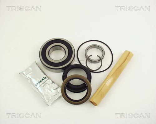 Triscan 8530 10229 - Комплект подшипника ступицы колеса autosila-amz.com