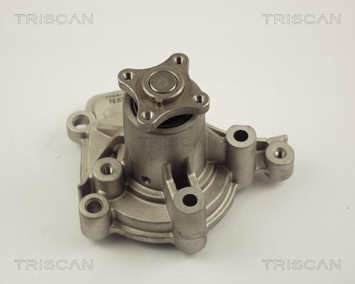 Triscan 8600 43005 - Водяной насос autosila-amz.com