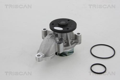 Triscan 8600 43013 - Водяной насос autosila-amz.com