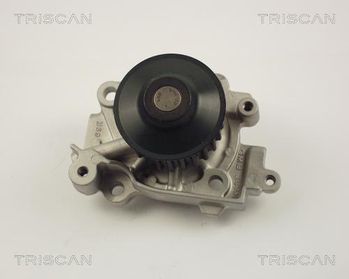 Triscan 8600 42010 - Водяной насос autosila-amz.com