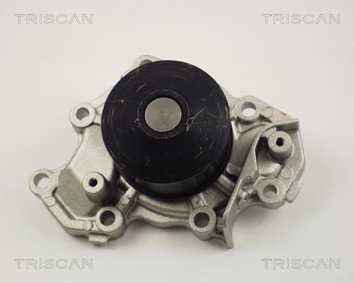 Triscan 8600 42013 - Водяной насос autosila-amz.com