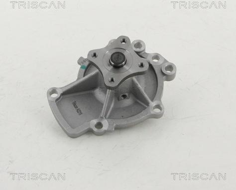 Triscan 8600 14925 - Водяной насос autosila-amz.com