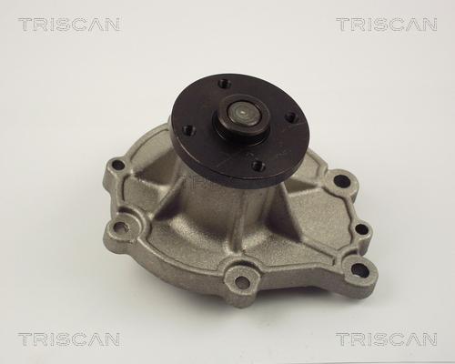 Triscan 8600 14012 - Водяной насос autosila-amz.com