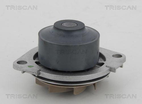 Triscan 8600 15013 - Водяной насос autosila-amz.com