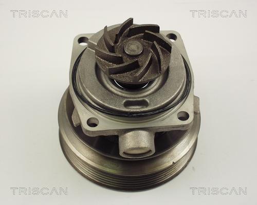 Triscan 8600 10006 - Водяной насос autosila-amz.com