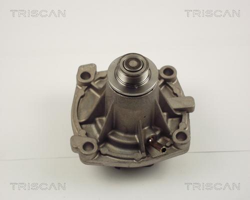 Triscan 8600 10011 - Водяной насос autosila-amz.com