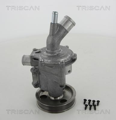 Triscan 8600 11966 - Водяной насос autosila-amz.com