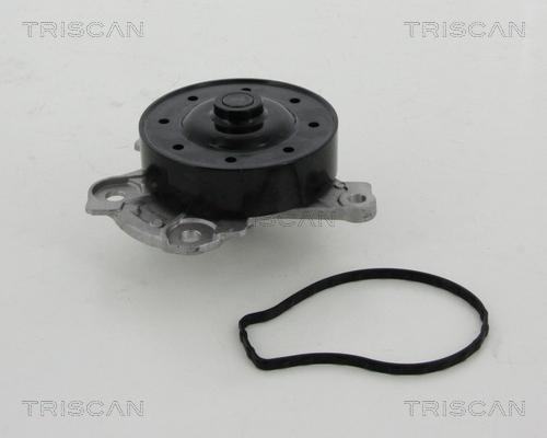 Triscan 8600 13039 - Водяной насос autosila-amz.com