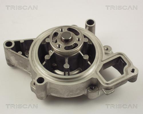 Triscan 8600 24015 - Водяной насос autosila-amz.com