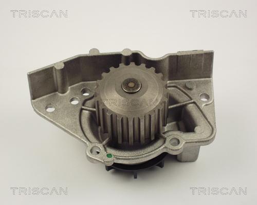 Triscan 8600 28917 - Водяной насос autosila-amz.com
