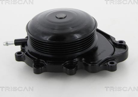 Triscan 8600 23019 - Водяной насос autosila-amz.com