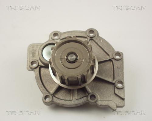 Triscan 8600 27106 - Водяной насос autosila-amz.com