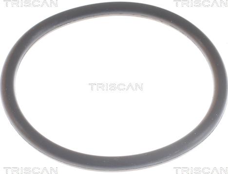 Triscan 8620 9491 - Термостат охлаждающей жидкости / корпус autosila-amz.com