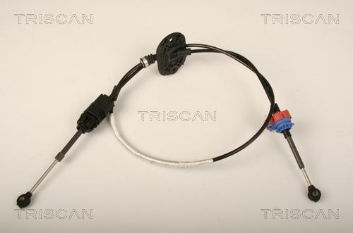 Triscan 8140 16704 - Трос, автоматическая коробка передач autosila-amz.com