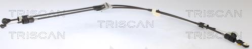 Triscan 8140 16725 - Трос, наконечник, ступенчатая коробка передач autosila-amz.com