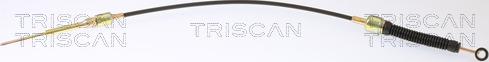 Triscan 8140 29761 - Трос, автоматическая коробка передач autosila-amz.com