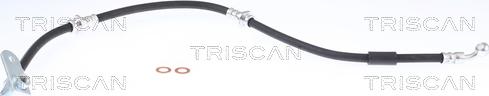 Triscan 8150 69110 - Тормозной шланг autosila-amz.com