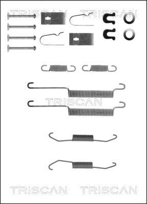 Triscan 8105 402538 - Комплектующие, барабанный тормозной механизм autosila-amz.com