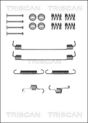 Triscan 8105 102596 - Комплектующие, барабанный тормозной механизм autosila-amz.com