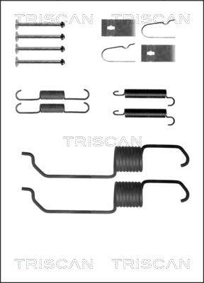 Triscan 8105 102591 - Комплектующие, барабанный тормозной механизм autosila-amz.com