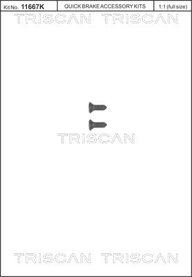 Triscan 8105 116008 - Комплект болтов, тормозной диск autosila-amz.com