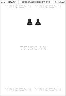Triscan 8105 116003 - Комплект болтов, тормозной диск autosila-amz.com