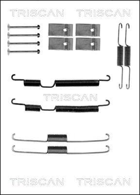 Triscan 8105 182008 - Комплектующие, барабанный тормозной механизм autosila-amz.com