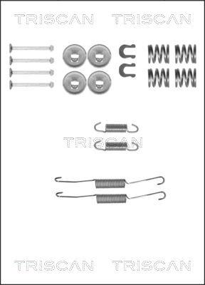 Triscan 8105 132587 - Комплектующие, барабанный тормозной механизм autosila-amz.com