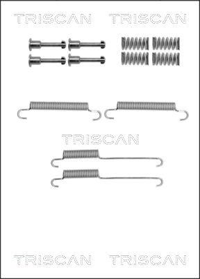 Triscan 8105 802002 - Комплектующие, стояночная тормозная система autosila-amz.com