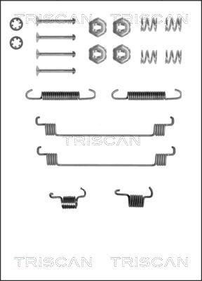 Triscan 8105 252519 - Комплектующие, барабанный тормозной механизм autosila-amz.com